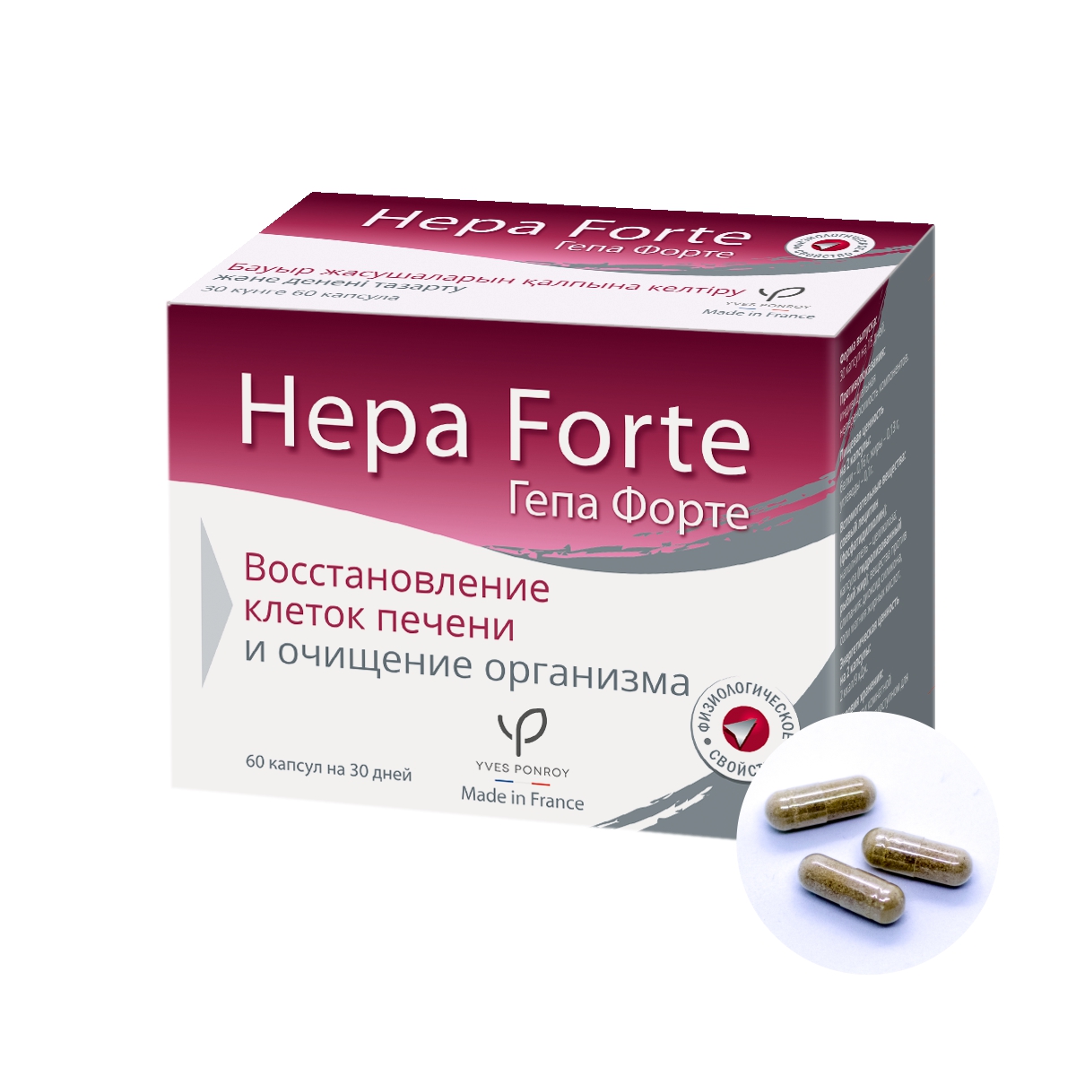 ГЕПА ФОРТЕ №60® капсулы для здоровья печени, 60 капс. | SANTE GROUP